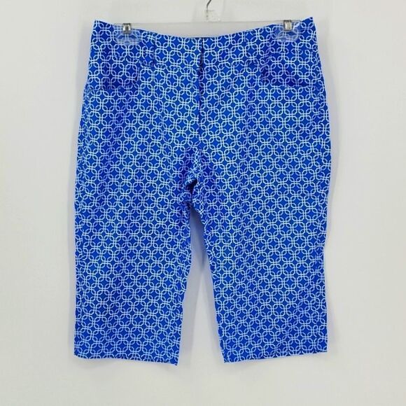 Lisa capris,  blue/white, size 4..stretch fabric. Nice - Picture 1 of 7